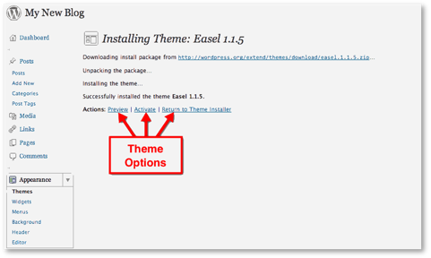 wordpress theme options