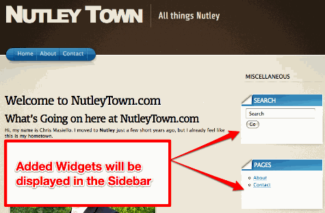 Widgets Dispalyed on Your Site